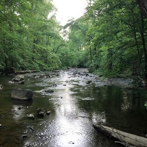 Meet your Posher, Adrienne